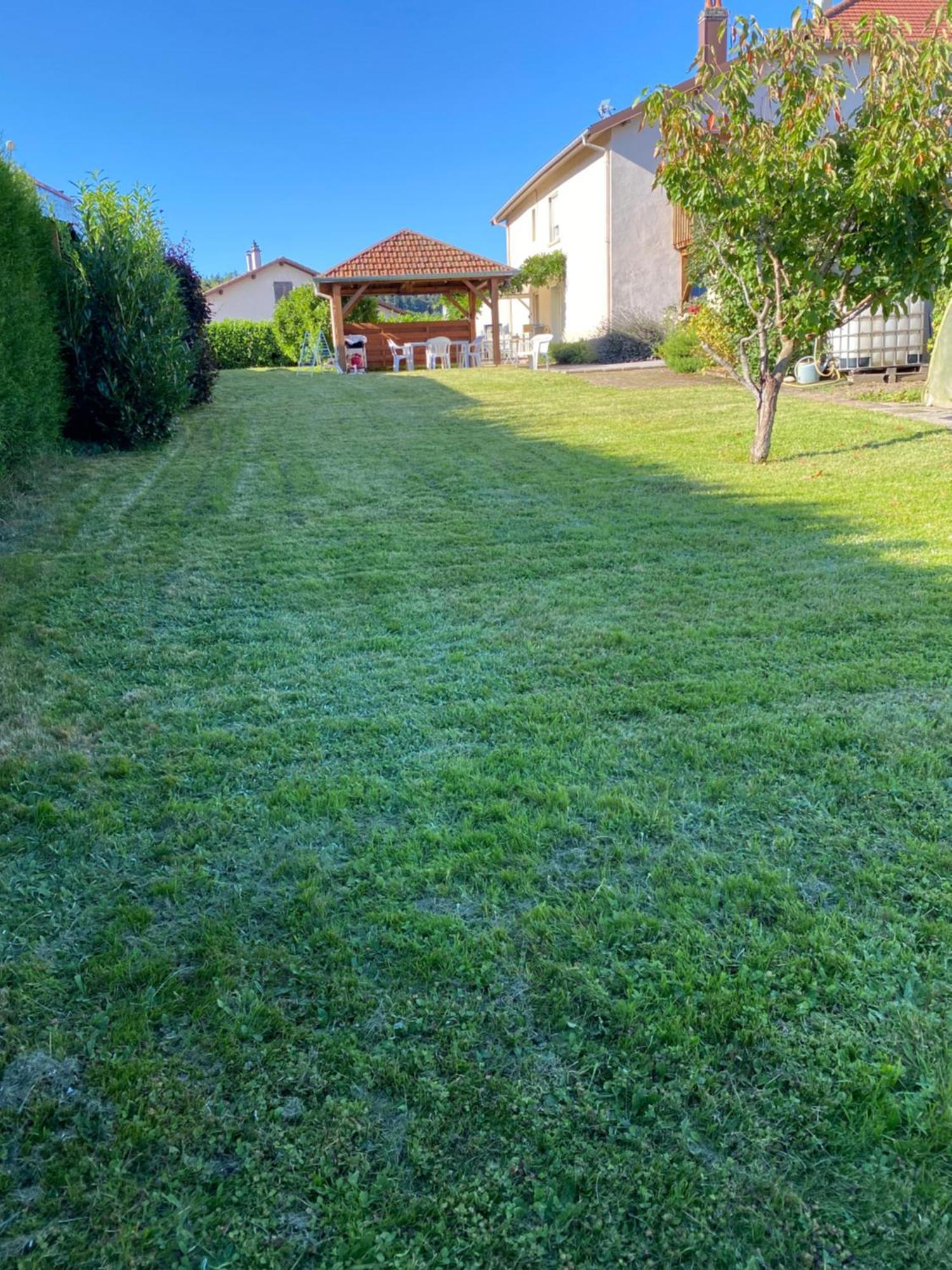 Au Coeur Des Vosges Lägenhet Laval-sur-Vologne Exteriör bild